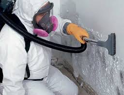 Best HVAC Mold Inspection and Cleaning  in Baldwin, FL